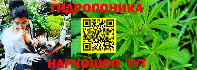 ГАЛЛЮЦИНОГЕННЫЕ ГРИБЫ Ипатово