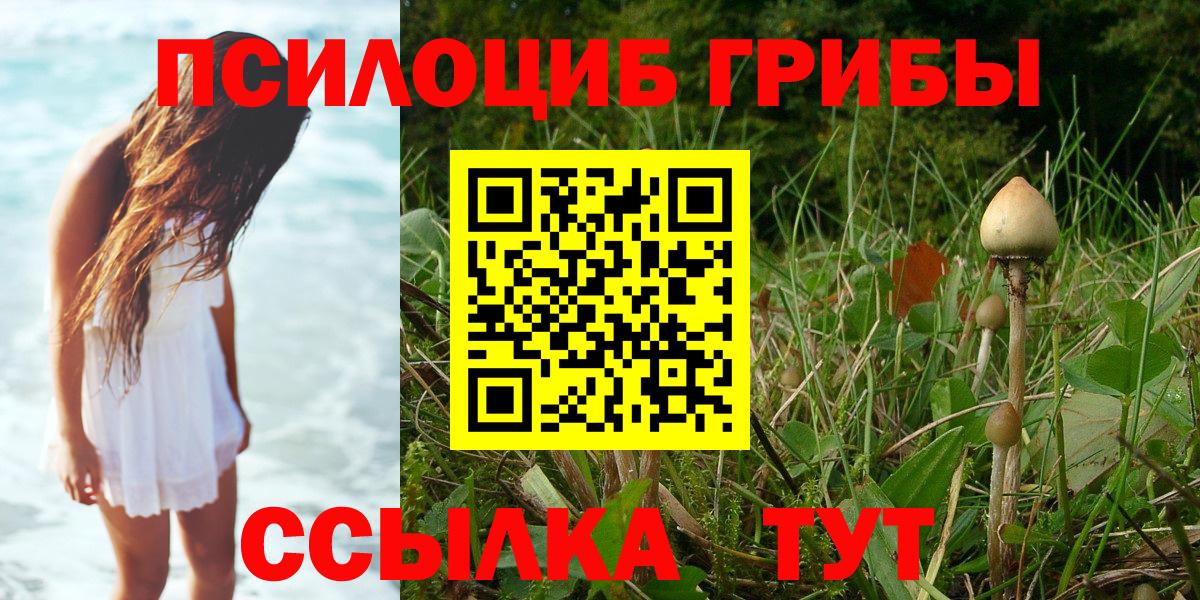 Галлюциногенные грибы MAGIC MUSHROOMS  Вход с VPN  Ярославль 